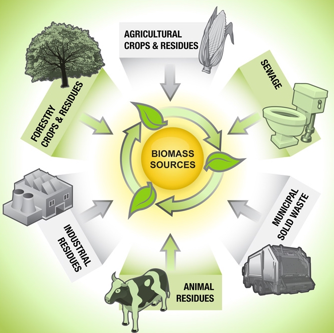 Biomass Energy Source Overview of biomass energy systems