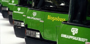 Biogas_Bus