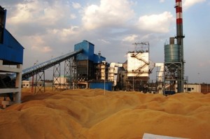 Bagasse_Cogeneration