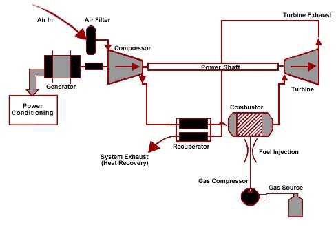Heat and Power in the Biomass Industry