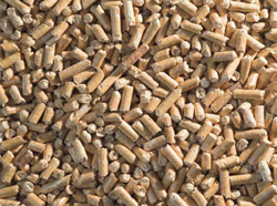 Biomass Pelletization Process | BioEnergy Consult