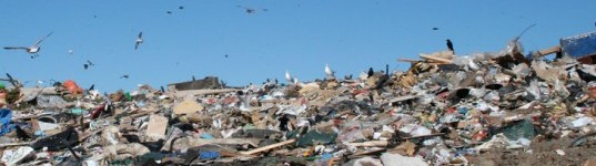 waste-management-energy