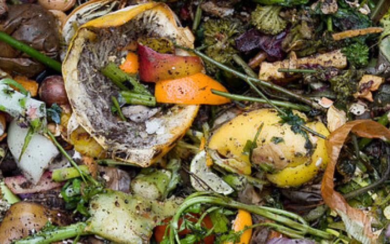 Renewable Energy from Food Residuals BioEnergy Consult