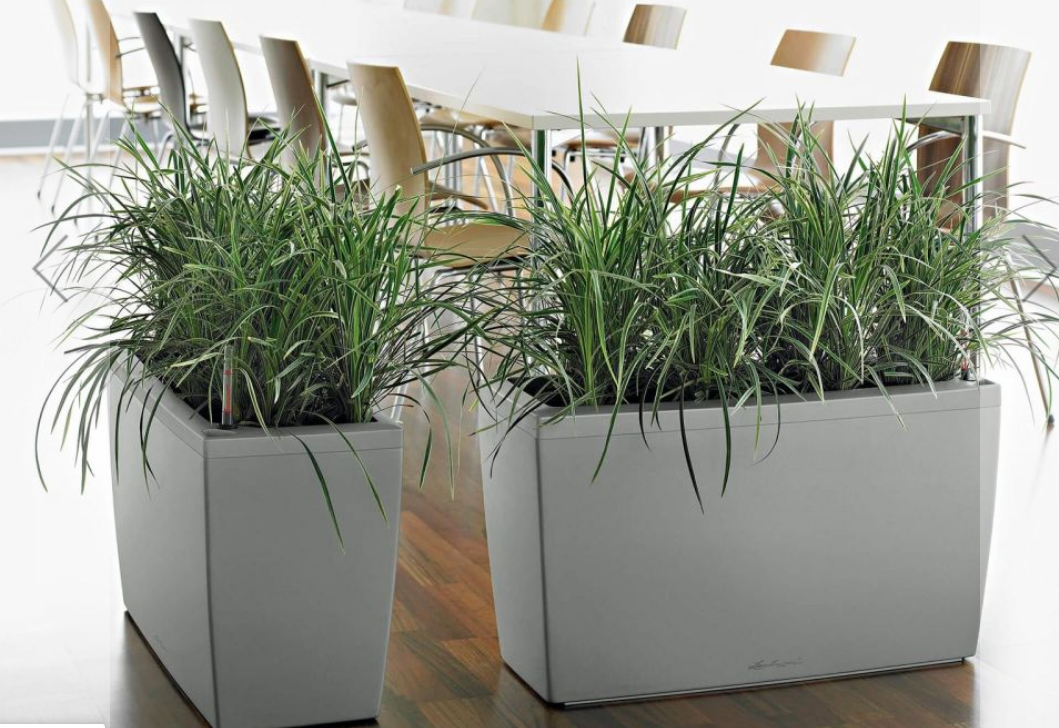 Indoor Self-Watering Planter: Keep Your Indoor Plants Fresh and Healthy | BioEnergy Consult