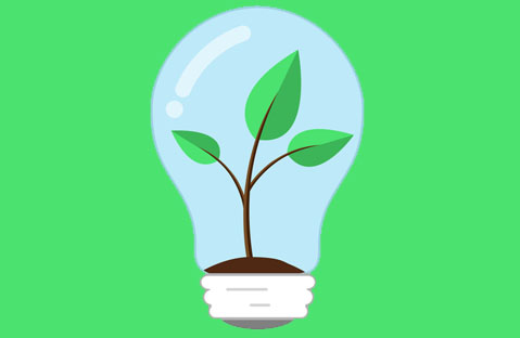 How to Contribute in Saving the Environment: 5 Effective Ways How to Contribute in Saving the Environment: 5 Effective Ways