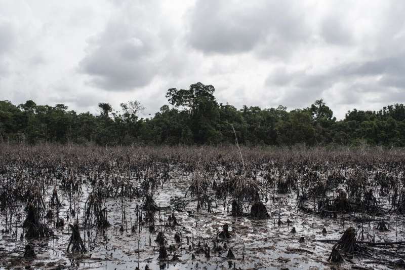 Is Oil Discovery a Curse to Niger Delta Residents?