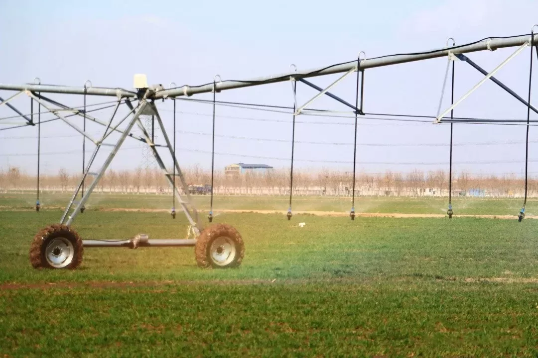 The Environmental Impacts of Agricultural Modernization